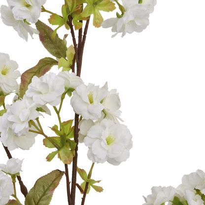 Tall White Blossom