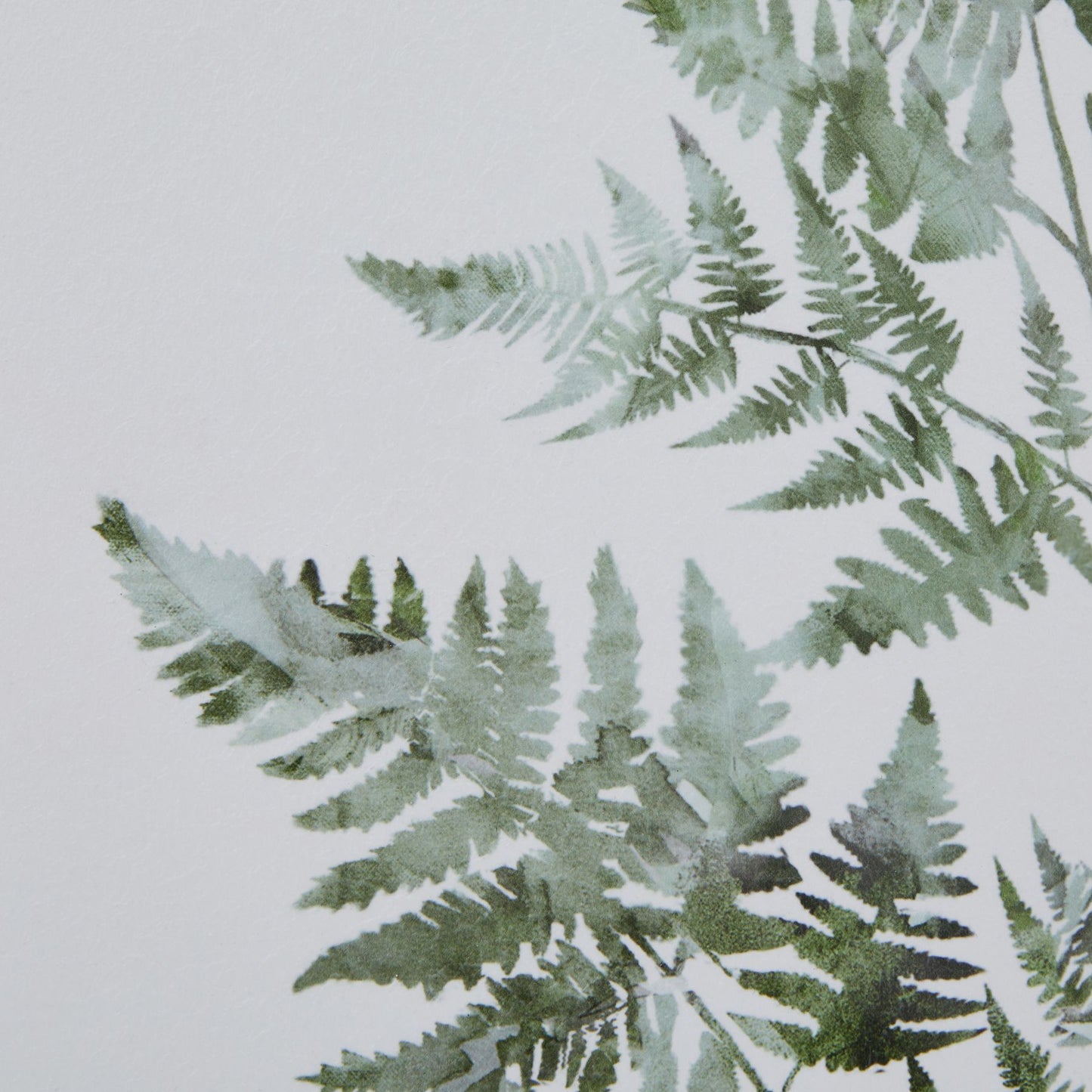 Watercolour Bracken Fern In Washed Wood Frame Wall Art