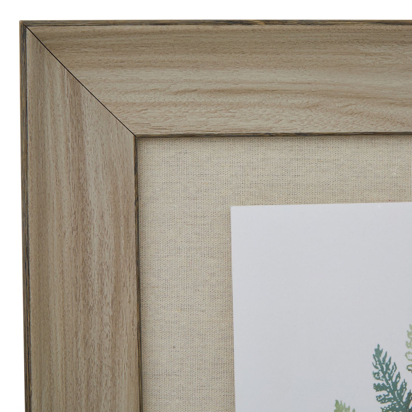 Watercolour Fern Duo In Washed Wood Frame Wall Art