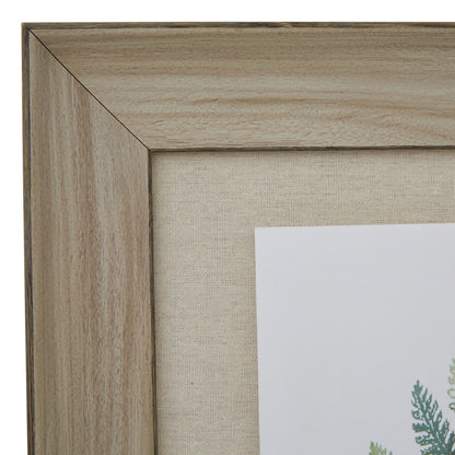 Watercolour Fern Duo In Washed Wood Frame Wall Art