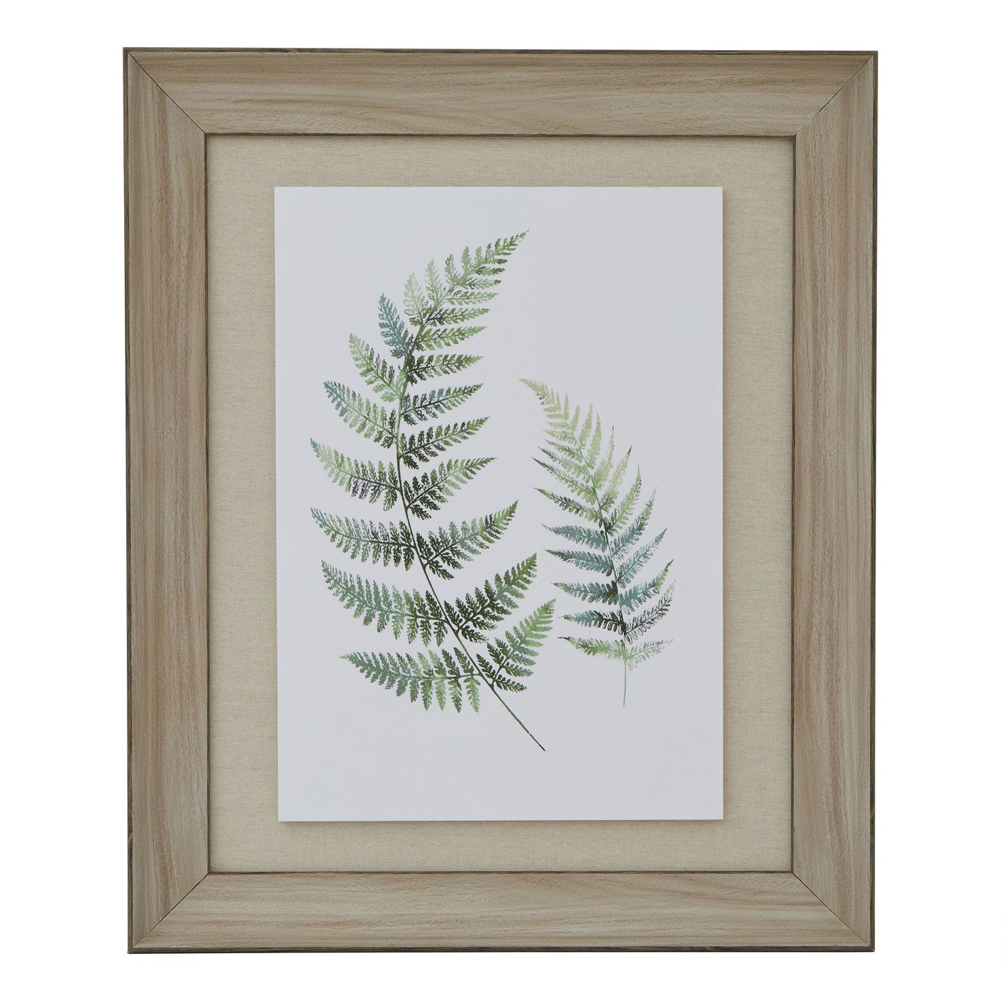 Watercolour Fern Duo In Washed Wood Frame Wall Art