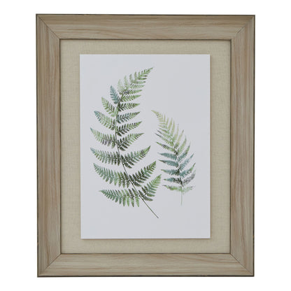 Watercolour Fern Duo In Washed Wood Frame Wall Art