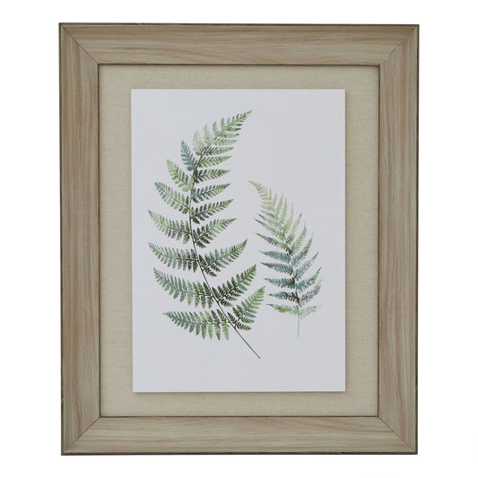 Watercolour Fern Duo In Washed Wood Frame Wall Art