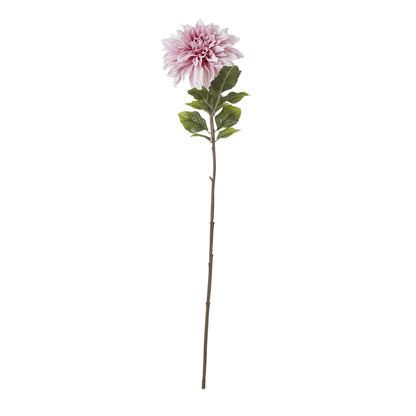 The Natural Garden Pink Dahlia
