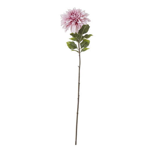 The Natural Garden Pink Dahlia