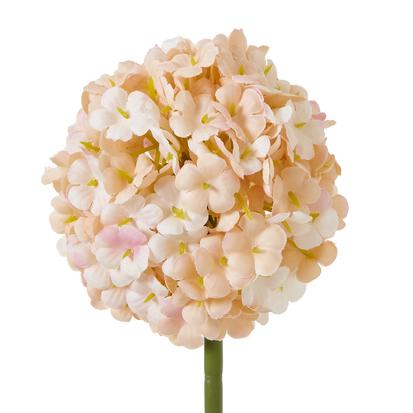 The Natural Garden White & Apricot Allium