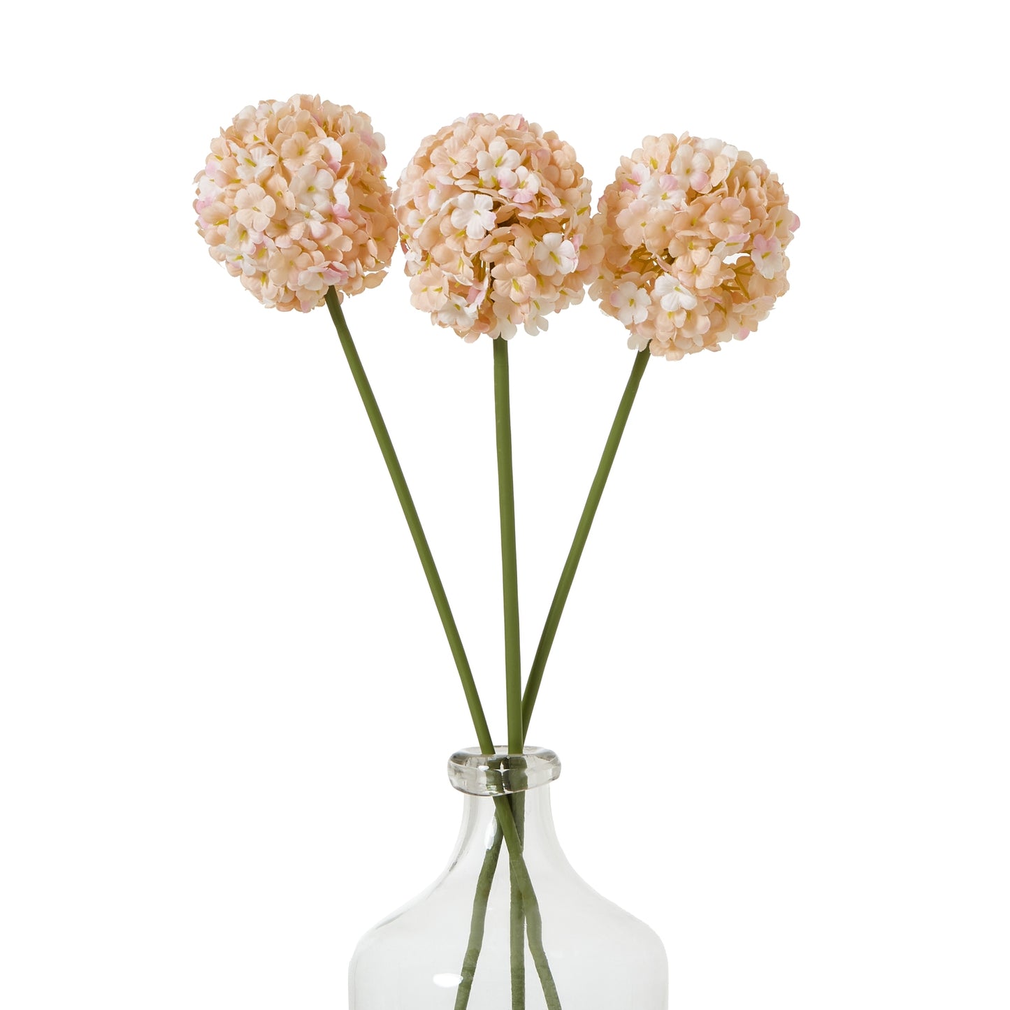 The Natural Garden White & Apricot Allium