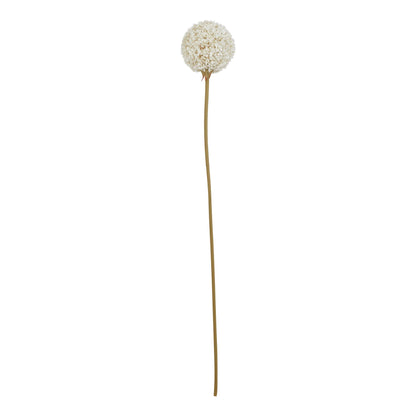 The Natural Garden White Allium