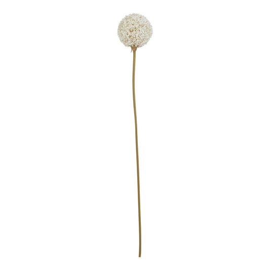 The Natural Garden White Allium