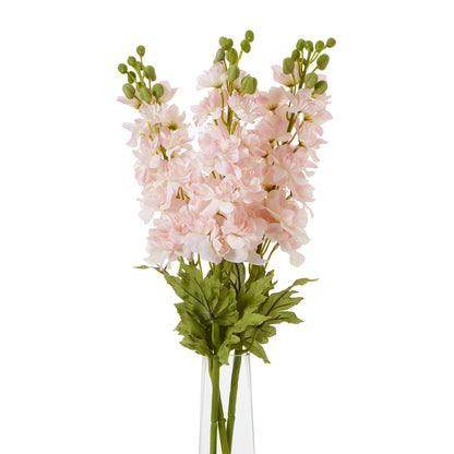 The Natural Garden Pink Elatum Delphinium