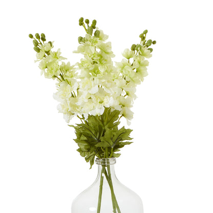 The Natural Garden White Elatum Delphinium