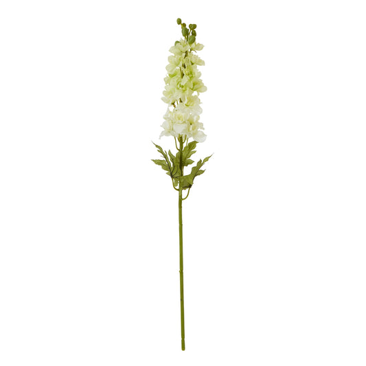 The Natural Garden White Elatum Delphinium