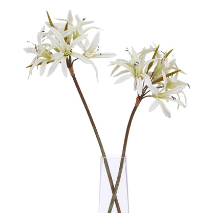 The Natural Garden White Nerine Lily Stem