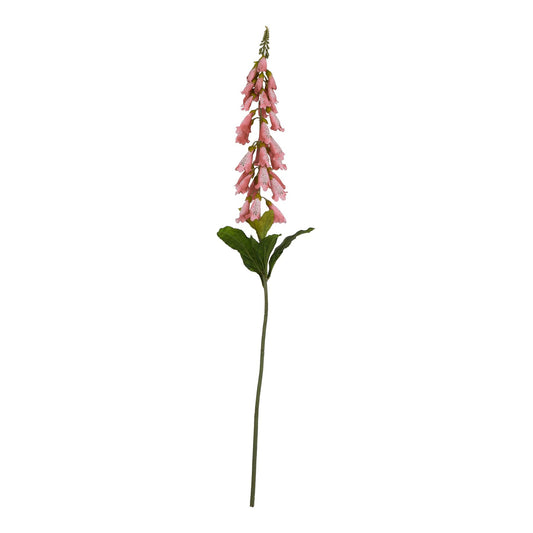 The Natural Garden Pale Pink Foxglove