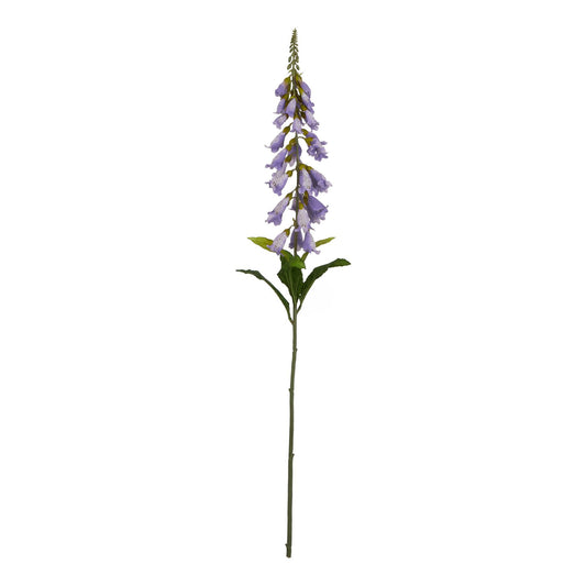 The Natural Garden Mauve Foxglove