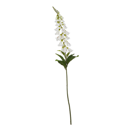 The Natural Garden White Foxglove