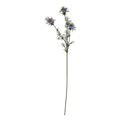 The Natural Garden Purple Nigella Love In A Mist