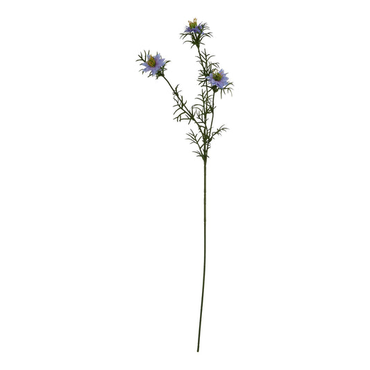 The Natural Garden Purple Nigella Love In A Mist