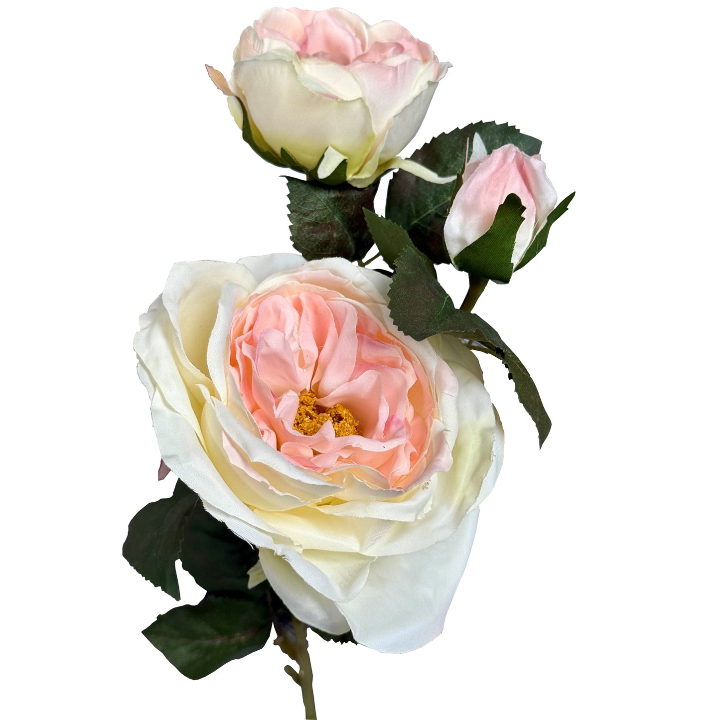 The Natural Garden Pink Charity Rose