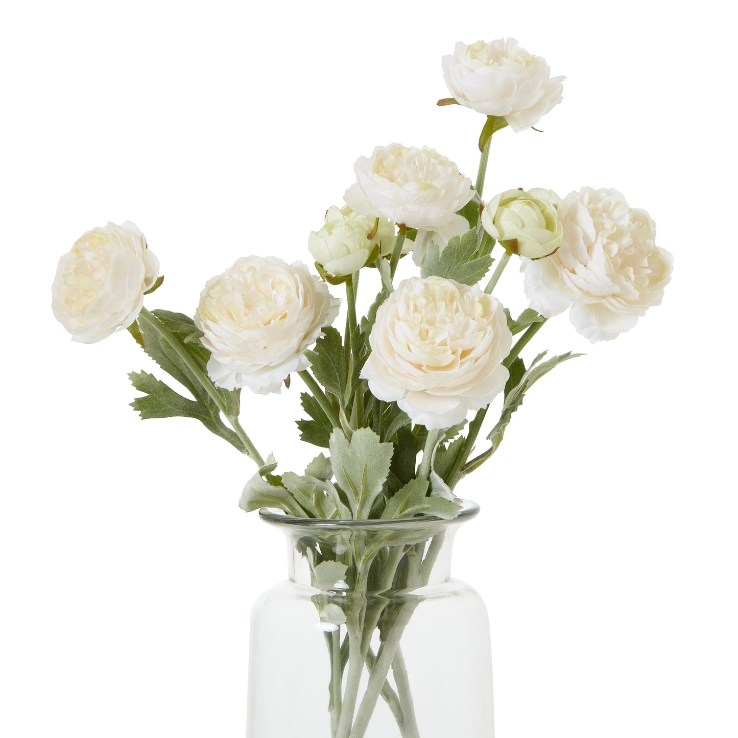 The Natural Garden Apricot Ranunculus