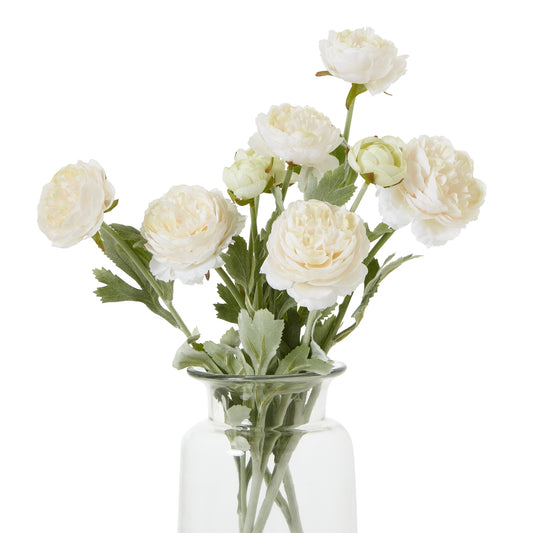 The Natural Garden Apricot Ranunculus