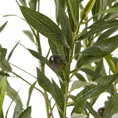 Apulia 150cm Olive Tree In White Pot