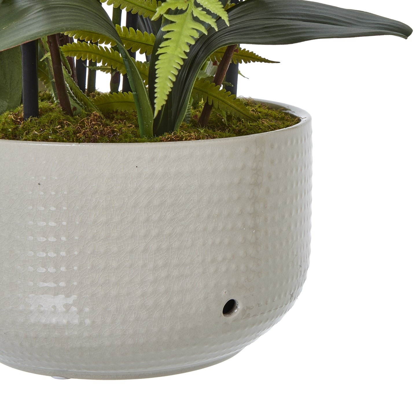White Orchid Large In Ceramic Pot
