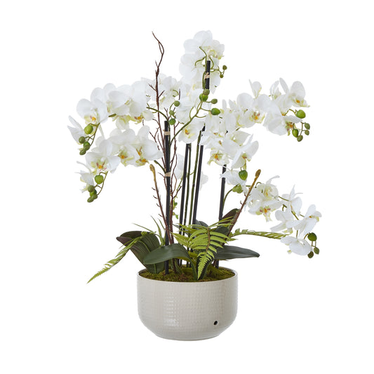 White Orchid Large In Ceramic Pot