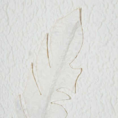 Solli White Feathers Framed Canvas Wall Art