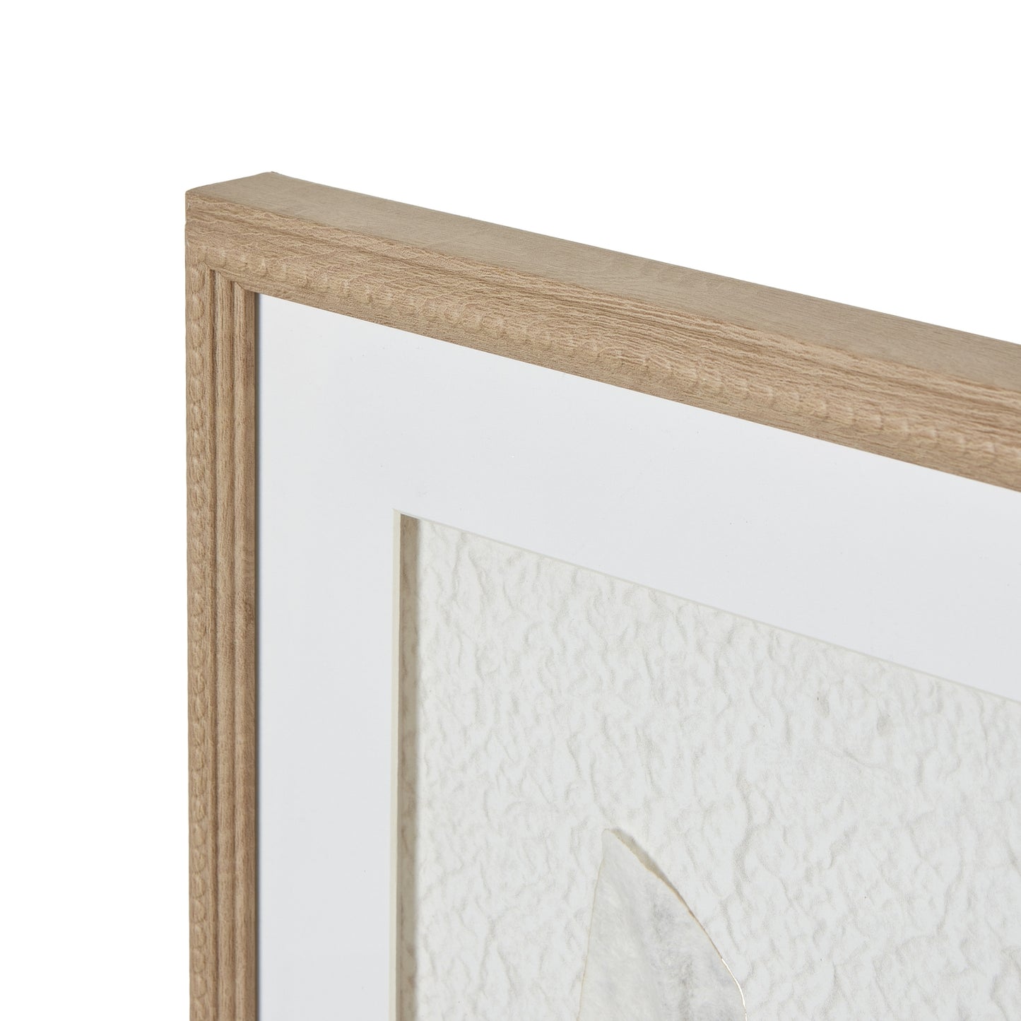 Solli White Feathers Framed Canvas Wall Art