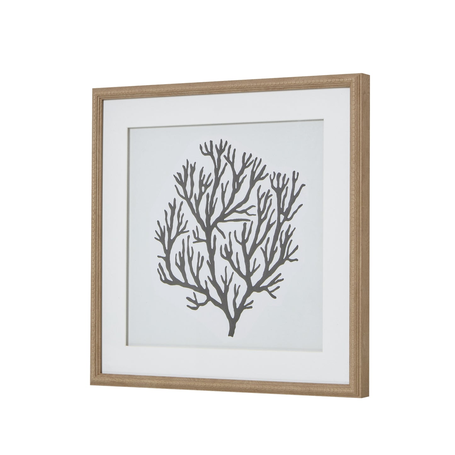 Atol Coral Art Mounted In Beaded Frame Wall Art