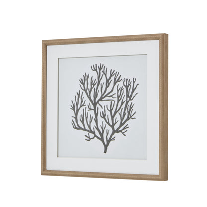 Atol Coral Art Mounted In Beaded Frame Wall Art