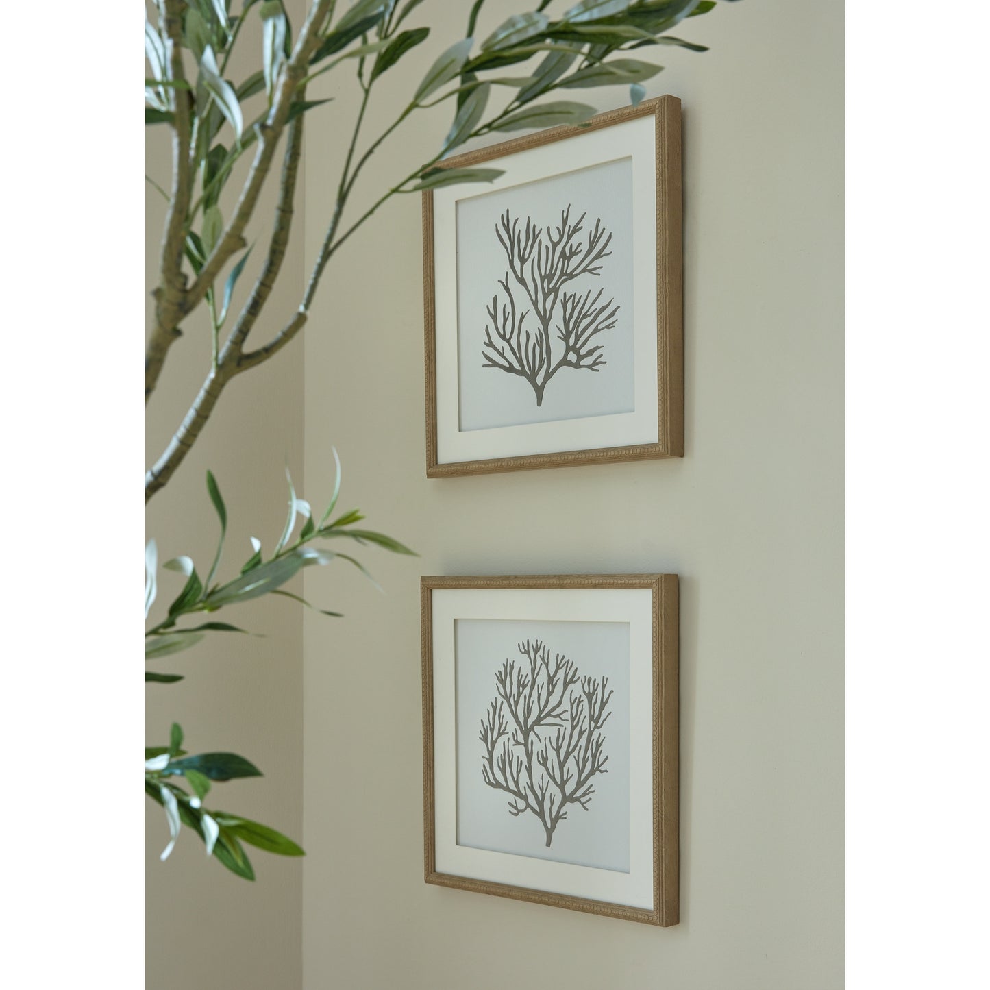 Atol Coral Art Mounted In Beaded Frame Wall Art