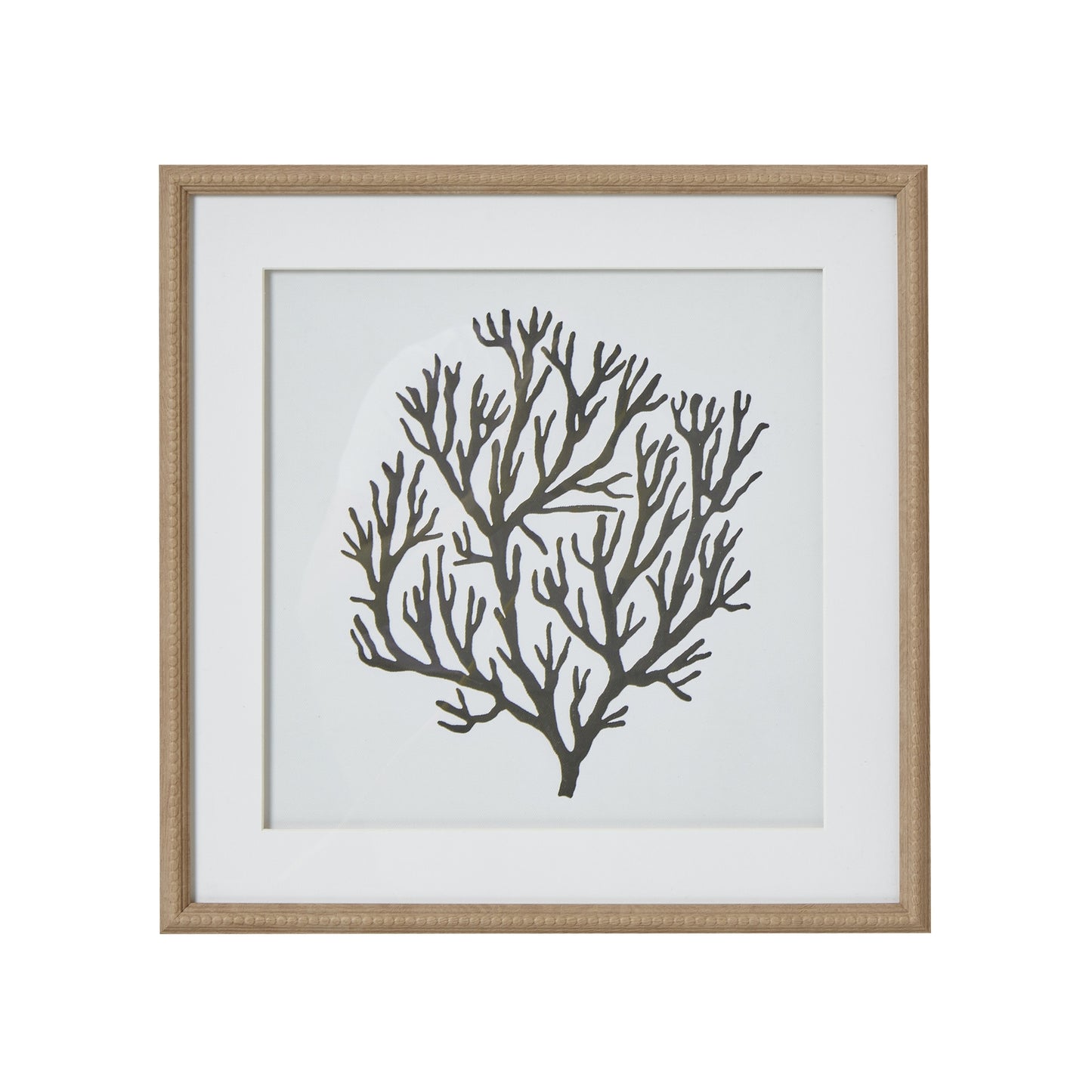 Atol Coral Art Mounted In Beaded Frame Wall Art