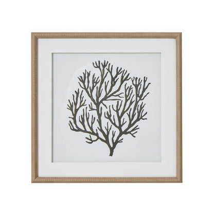 Atol Coral Art Mounted In Beaded Frame Wall Art
