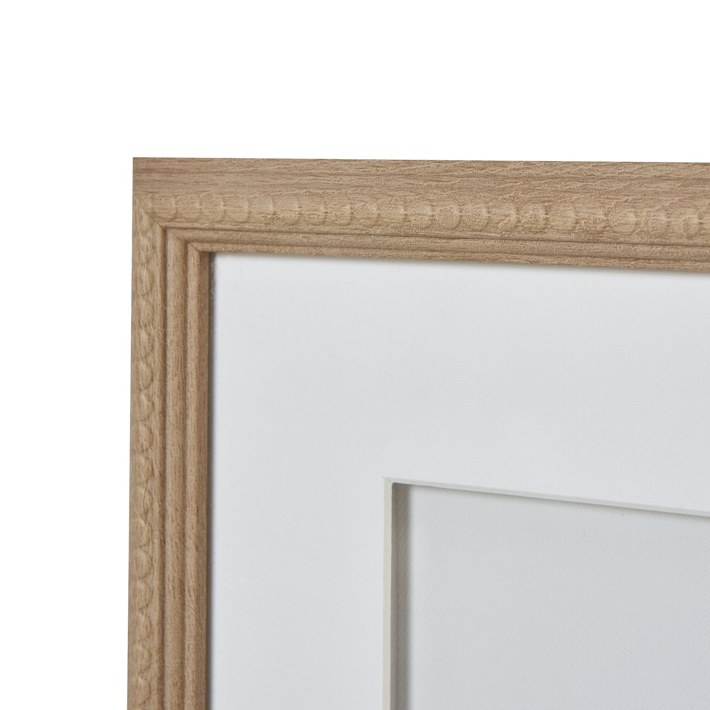 Reef Coral Mounted In Beaded Frame Wall Art