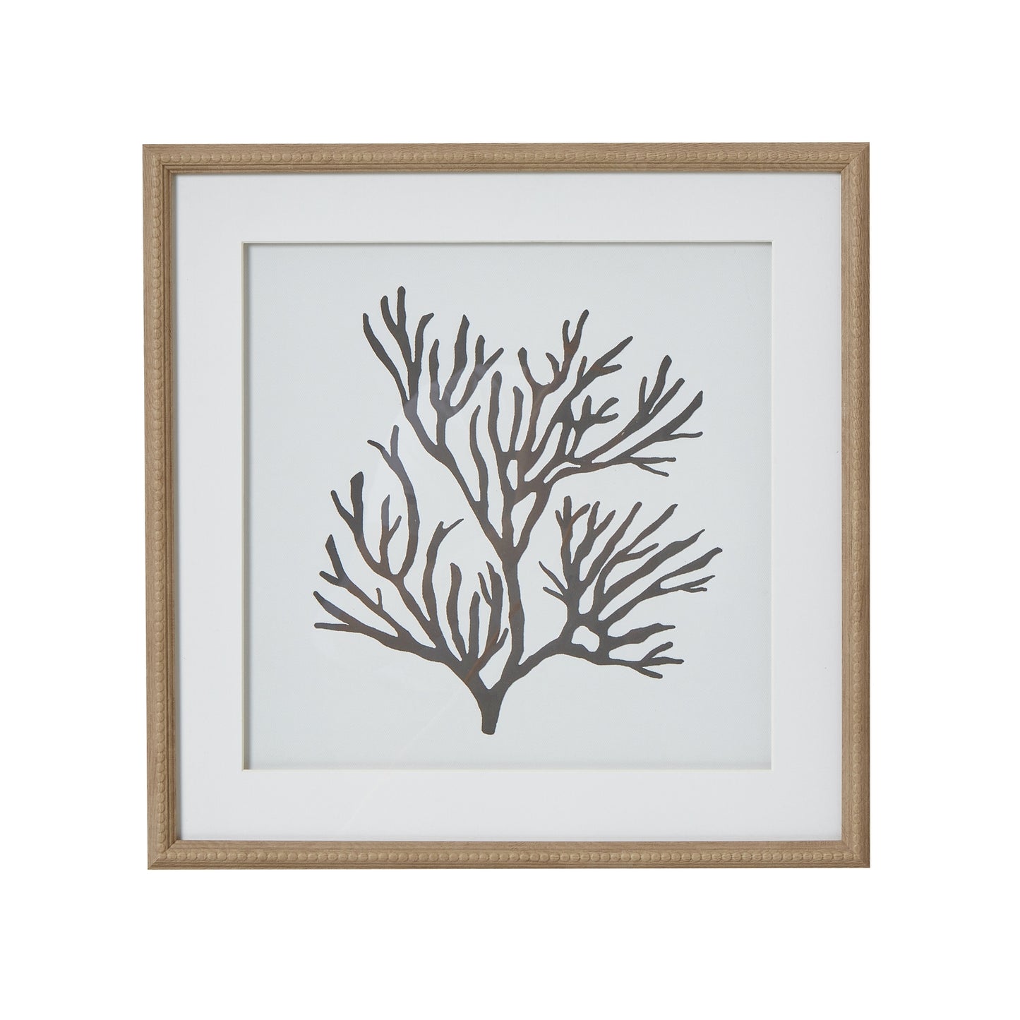 Reef Coral Mounted In Beaded Frame Wall Art