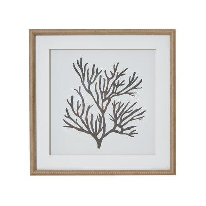 Reef Coral Mounted In Beaded Frame Wall Art