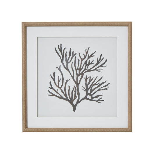 Reef Coral Mounted In Beaded Frame Wall Art