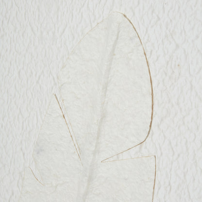 Quill White Feather Large Framed Wall Art