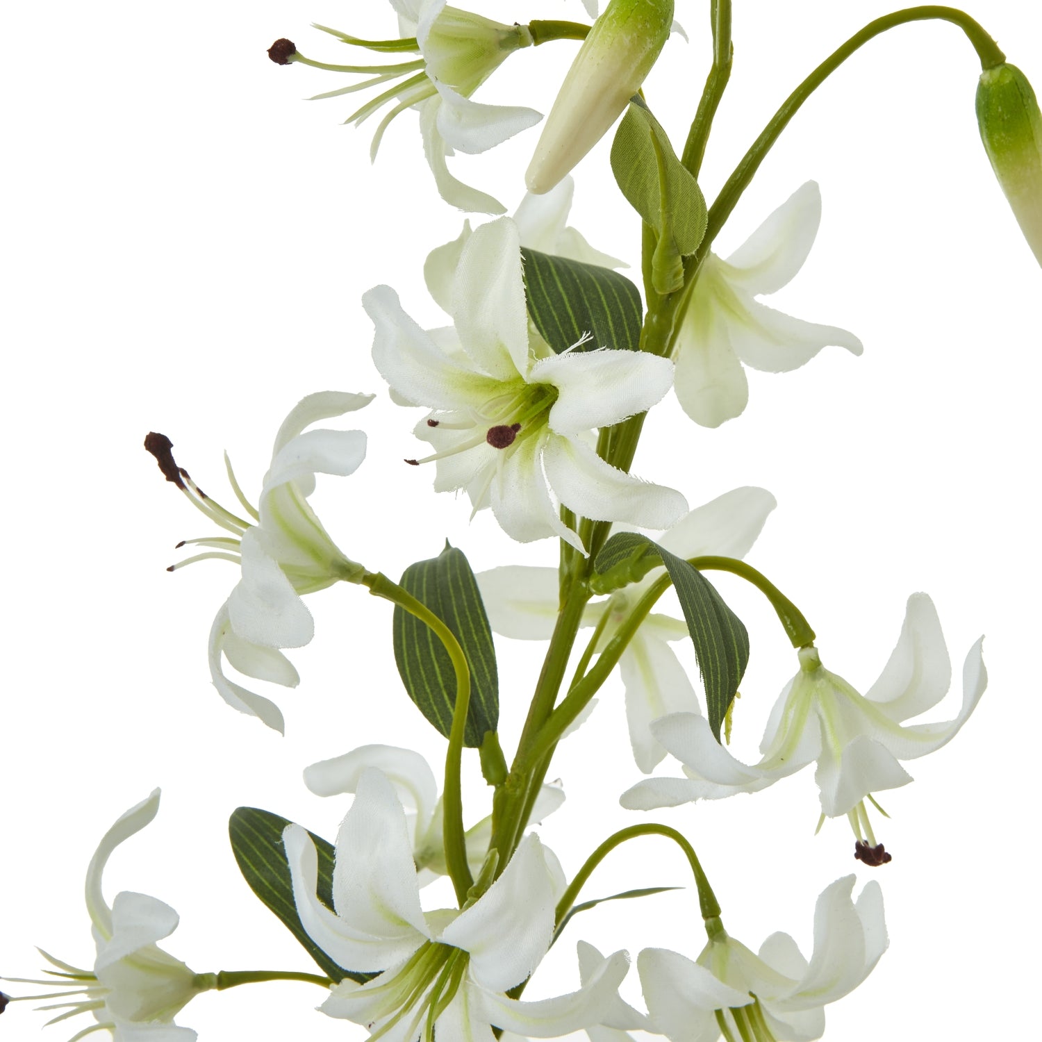 white turk's cap lily Turks Cap Green Lily Spray | Elegant Bell Blooms