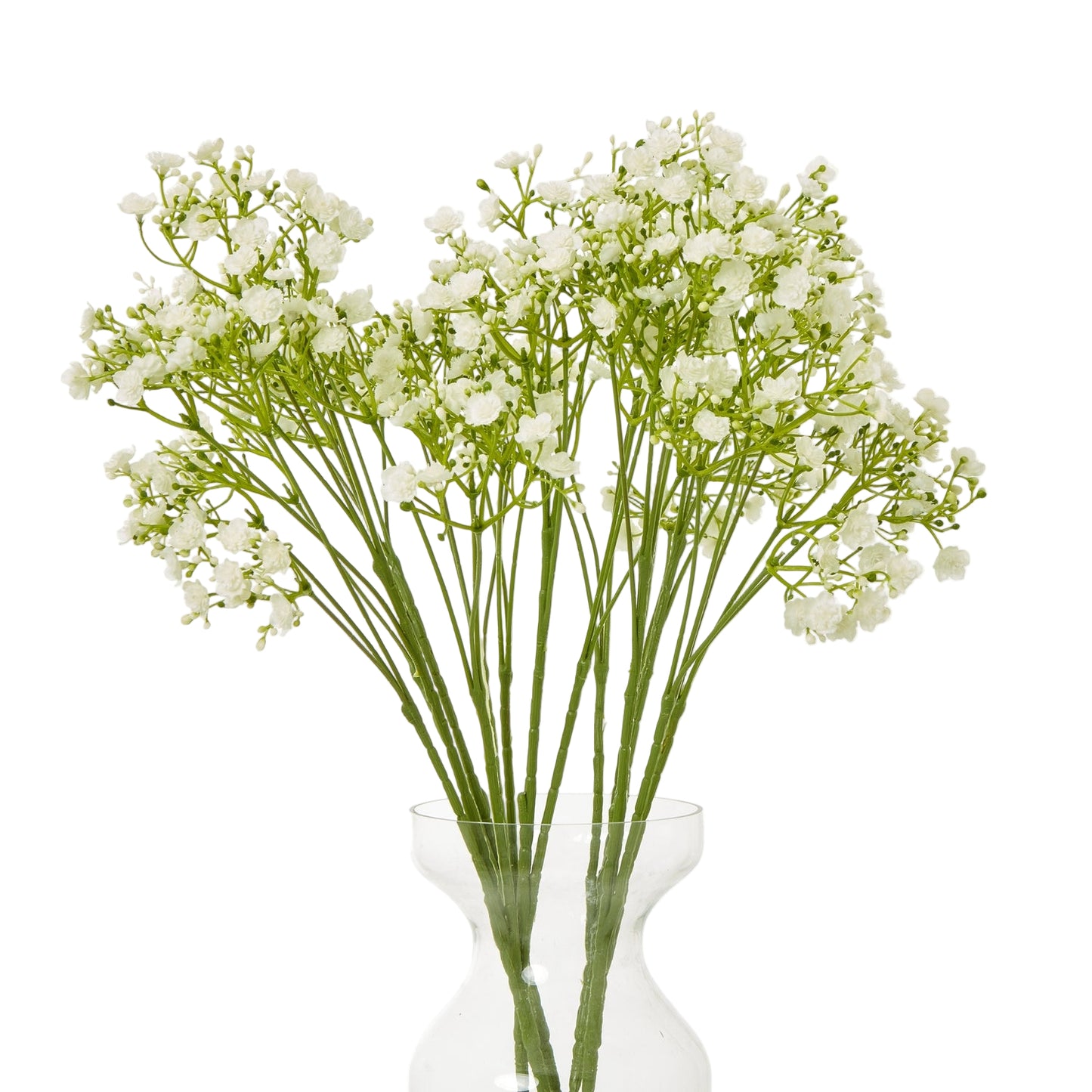 Cream Gypsophila Stem