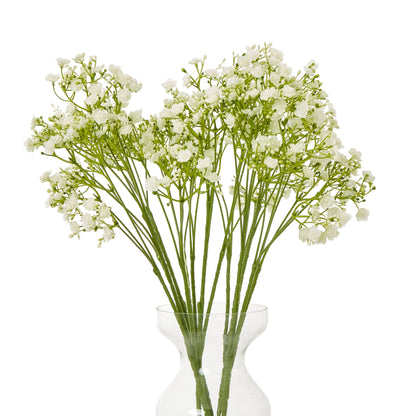 Cream Gypsophila Stem