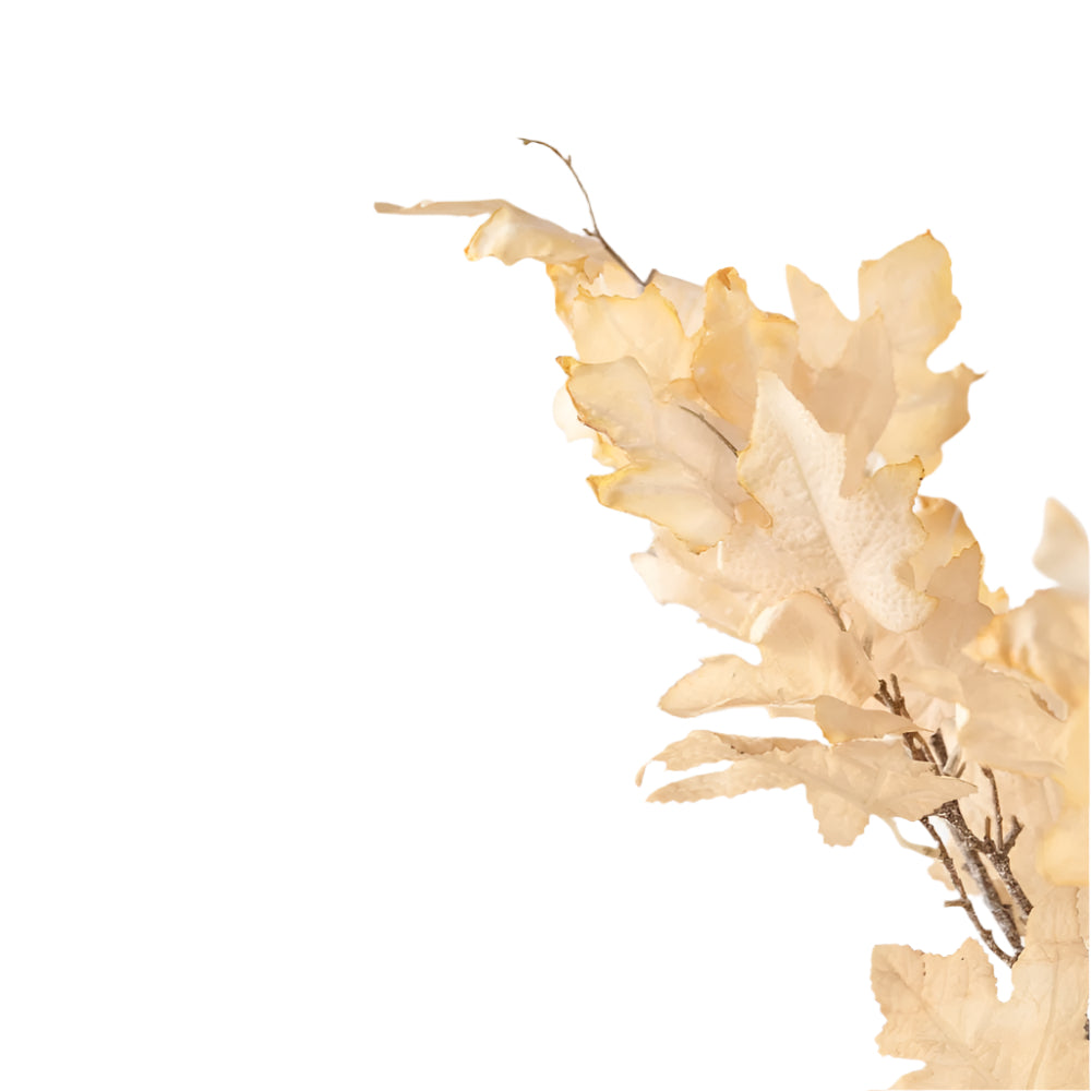 Natural Apricot Dried Flower Bunch