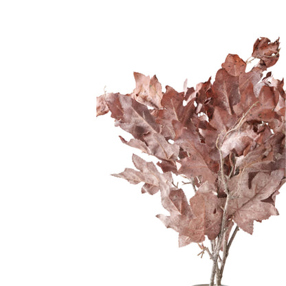 Mulberry Brown Dried Flower Bunch