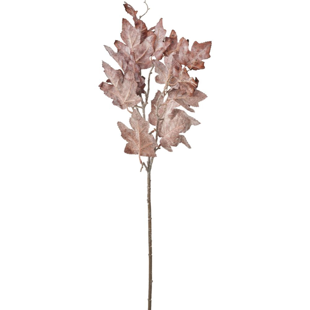 Mulberry Brown Maple Leaf Pack of 6
