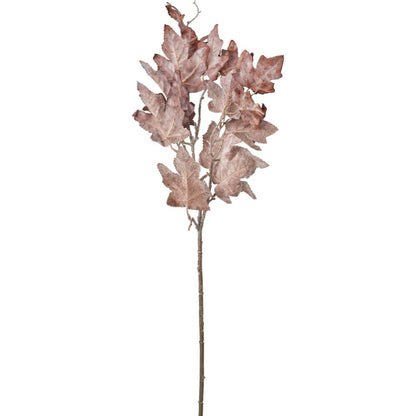 Mulberry Brown Maple Leaf Pack of 6