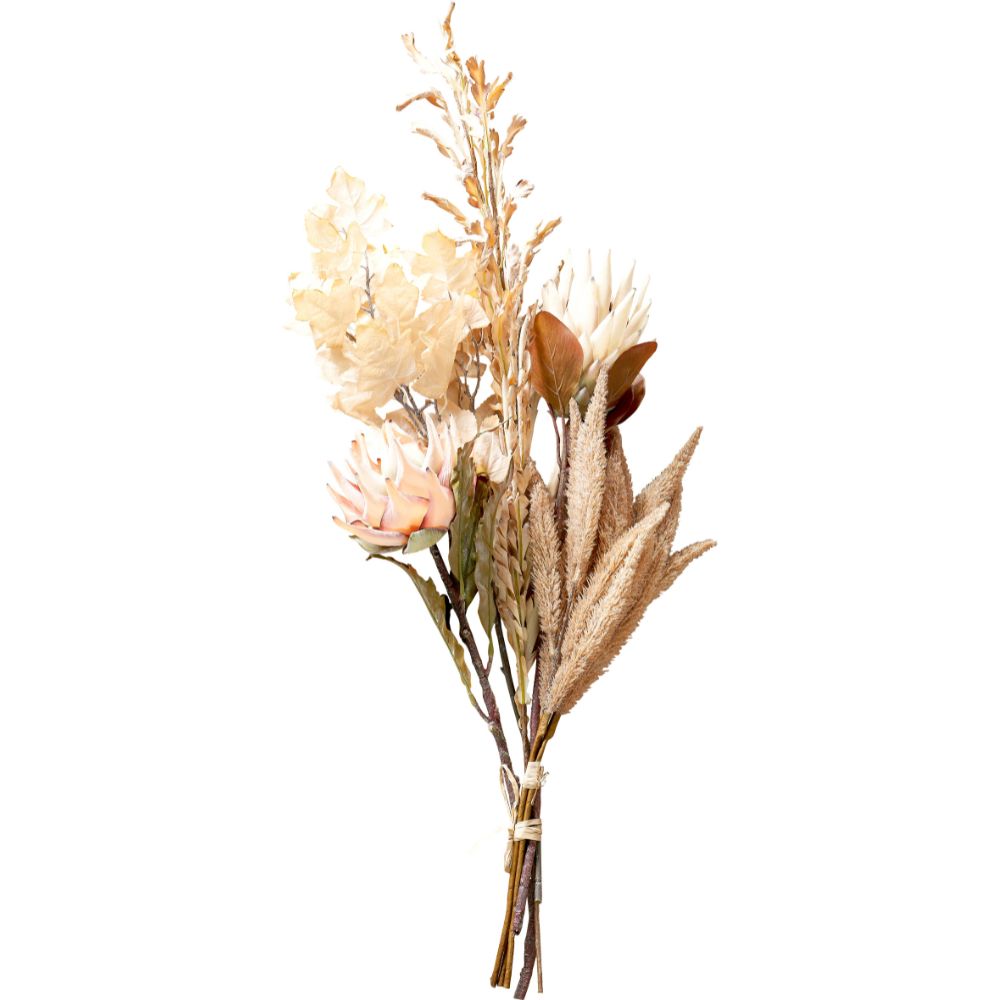 Natural Apricot Dried Flower Bunch