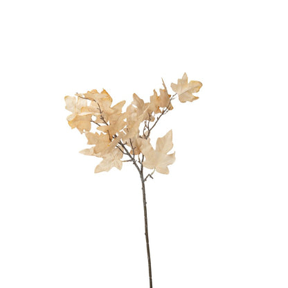 Natural Apricot Maple Leaf Pack of 6
