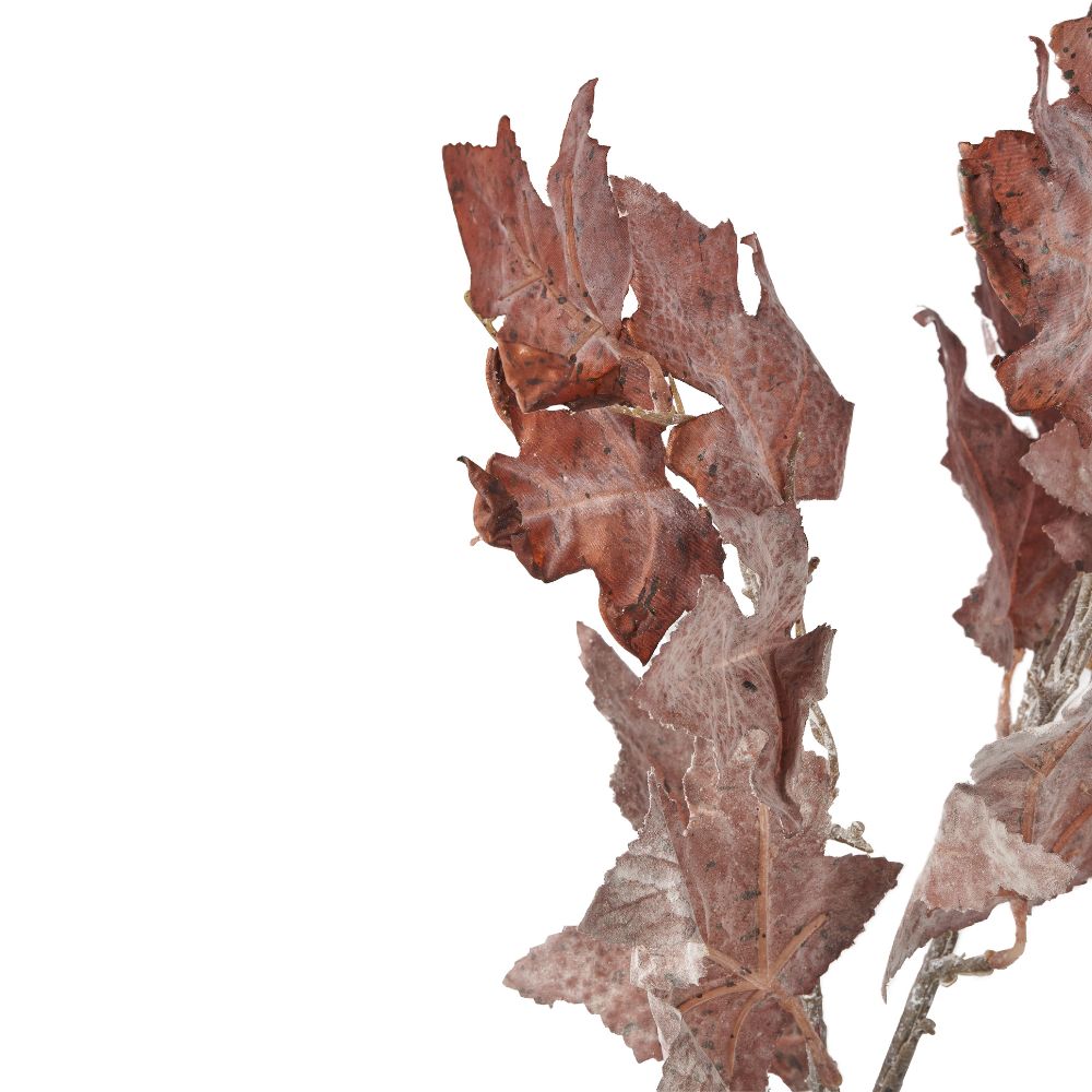 Mulberry Brown Maple Leaf Pack of 6